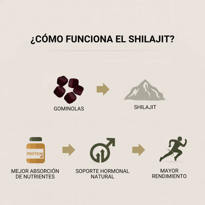GOLD SHILAJIT GUMMIES + Regalo Sorpresa