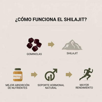 GOLD SHILAJIT GUMMIES + Regalo Sorpresa