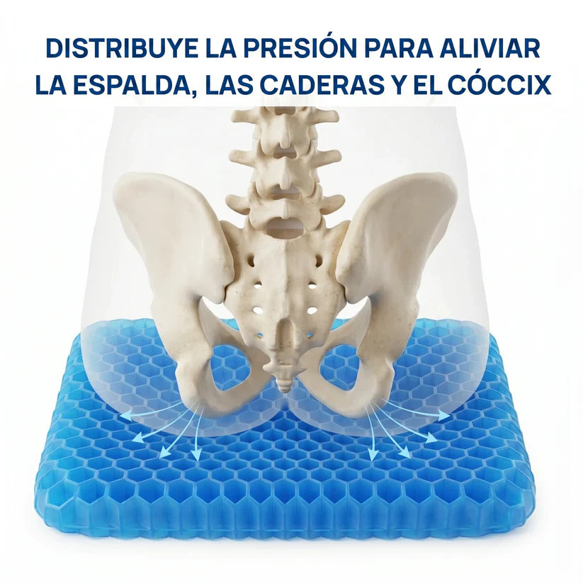 Cojín de Gel Coussea | Alivia los dolores de espalda, caderas y coxis durante largas horas sentado, en cualquier silla.